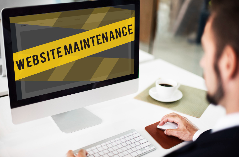 mantenimiento web mensual